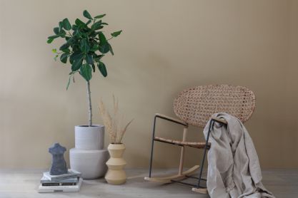 Vis detaljer for FORESTIA SPONPL W2P 2600 50PK 45957376